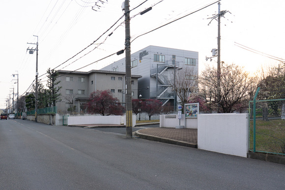 交野女子学院の梅 20250227-24