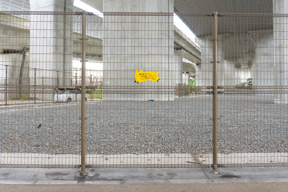 東倉治の黄色い動物 20240929-3