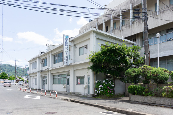 交野市役所 紫陽花 202406055-2