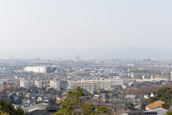 妙見東の黄砂 20250323-4