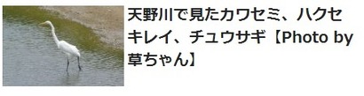 草ちゃんの写真投稿