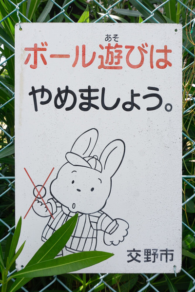 天野が原東公園　2024061913