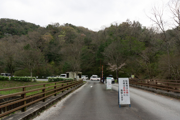 ほしだ園地 202404091