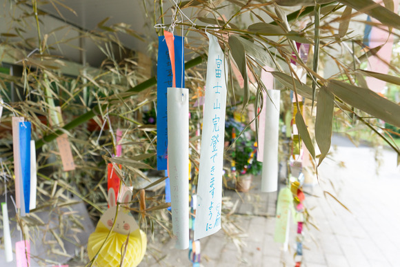 寝屋川公園 20250615-6