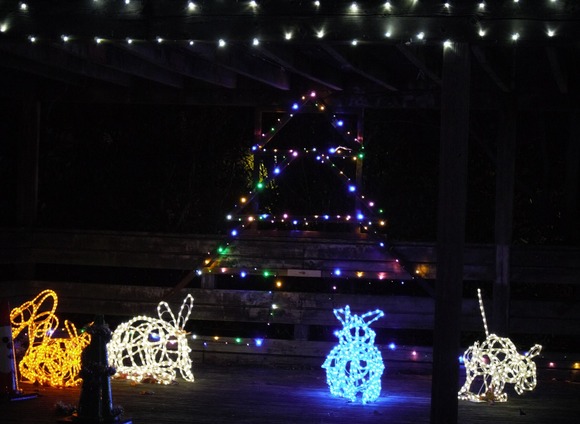 寝屋川公園 20241207-13