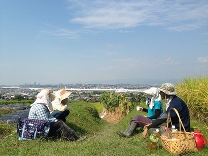 写真1