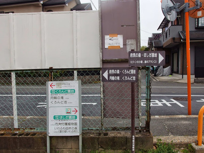 P4190729