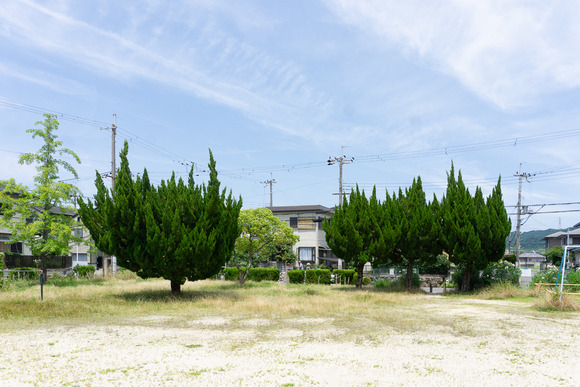 天野が原東公園　202406194