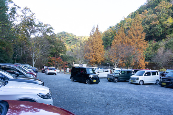 ほしだ園地 紅葉 20241130-17