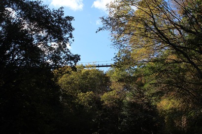 10355704_560558787407356_570556250283604693_o