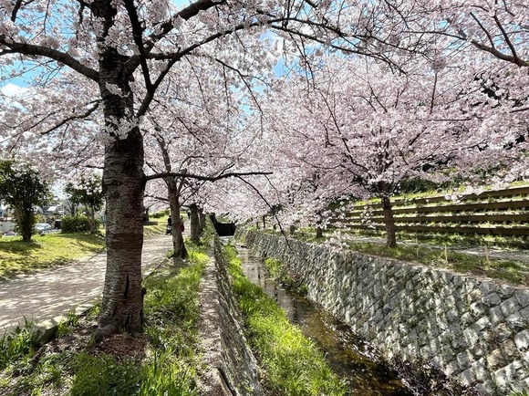 277445185_312740317627203_8000571586141970070_n