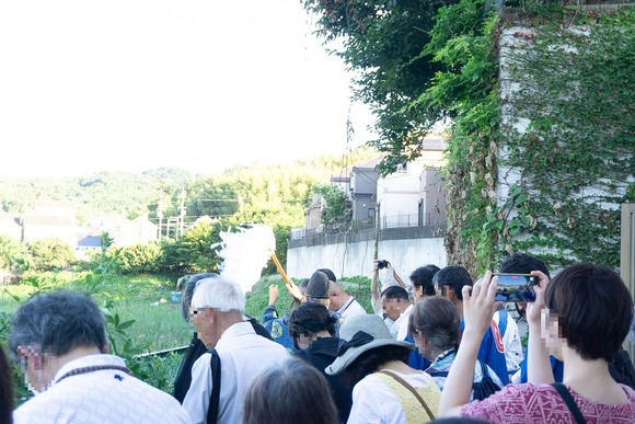 全権堂池 20240808-23
