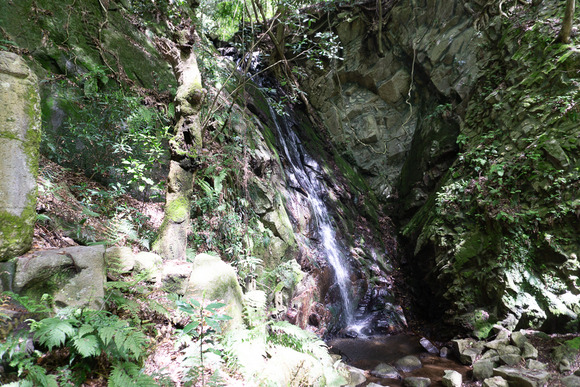 源氏の滝 202404171