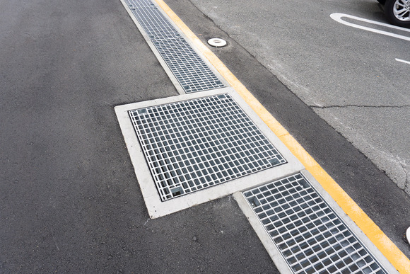 星田駅商店街 20241110-12