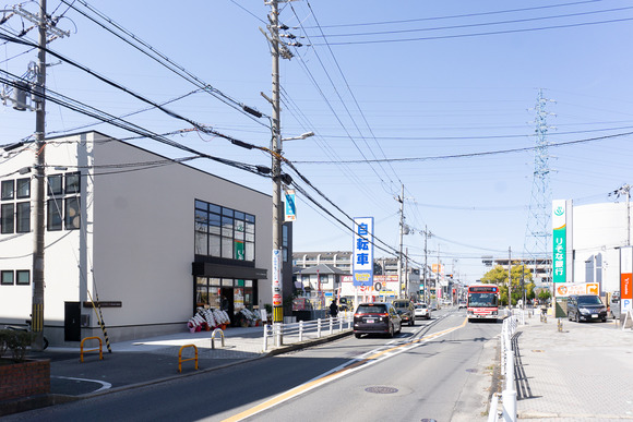 ボレロ 20250310-3