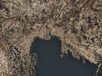 P3290430