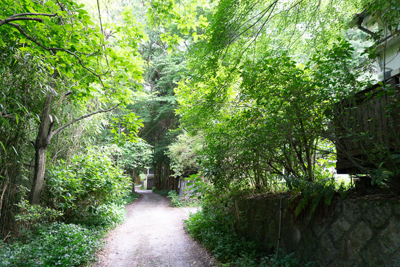 ほしだ園地 ハイキング 2024061627