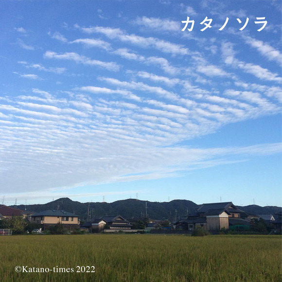 0_カタノソラフォーマット_アートボード 1