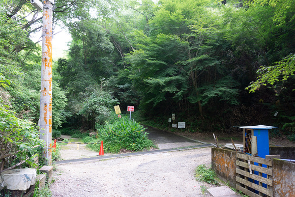 ほしだ園地 ハイキング 2024061632