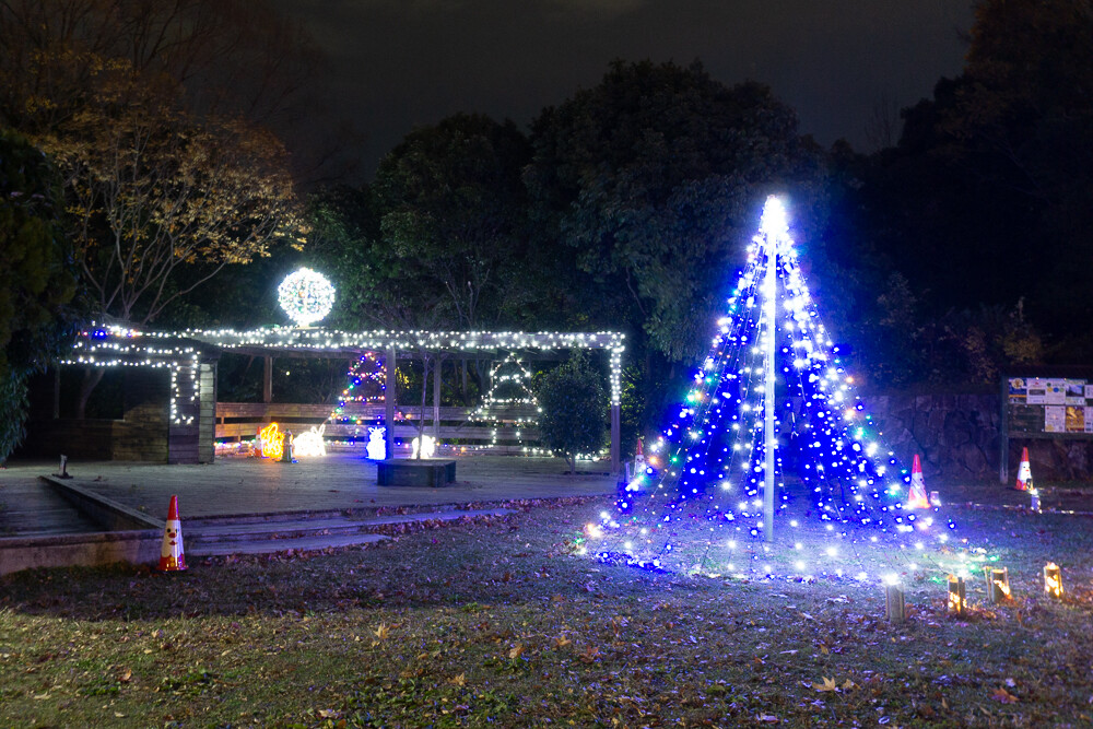 ナイトサファリや竹灯籠も！寝屋川公園のイルミネーションが幻想的。12