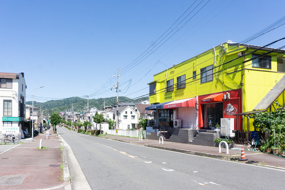 cafeペコリ 202407052