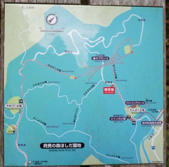 星のブランコ 20251124-15