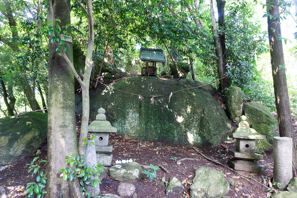 龍王山 20240621111