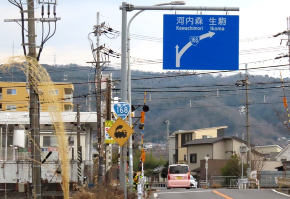 275910258_421901383025772_4370063082196707407_n