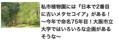 スクリーンショット 2018-12-24 18.49.09