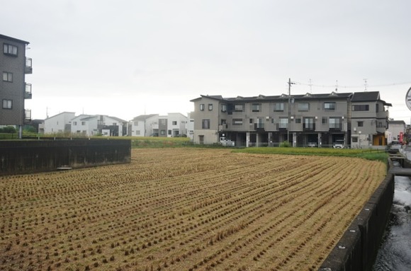 郡津 田んぼ-1