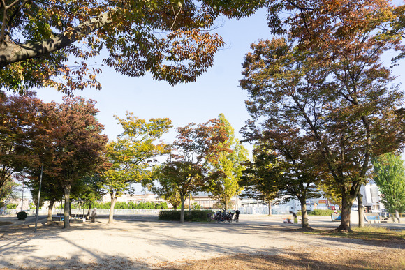 松塚公園 20241114-32