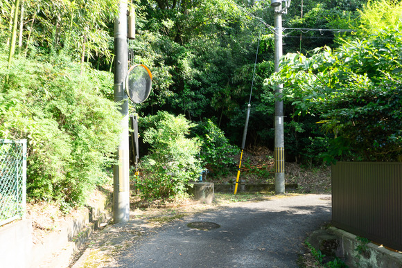 南星台 井戸 202406169
