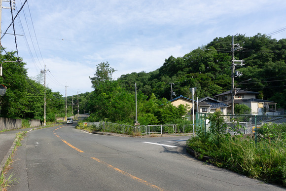ほしだ園地 ハイキング 2024061611