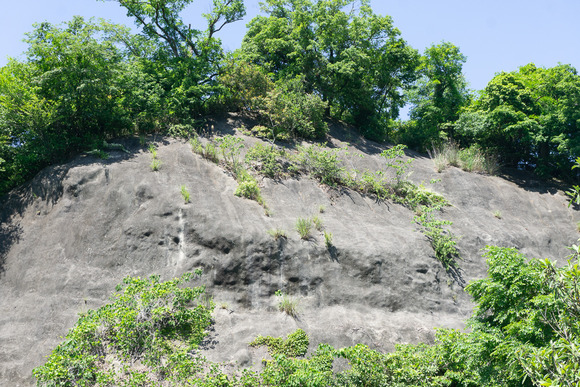 南星台バス停 崖の工事 2024060510