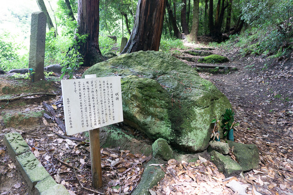 龍王山 2024062142