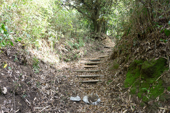 日高山の登山 2024041715