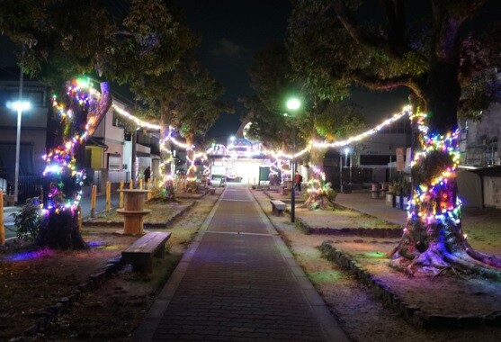 私市駅前のイルミネーション 20241218-2