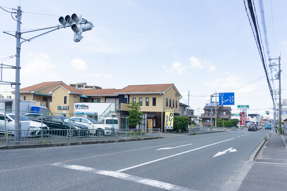 てんとう虫 20240729-10