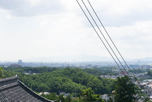 ブルーインパルス 20250712-3