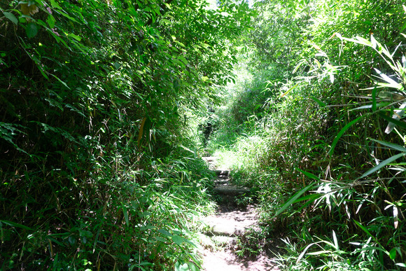 龍王山 2024062153