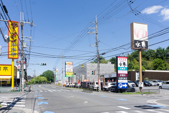 バイキングPocaPoca 202405147