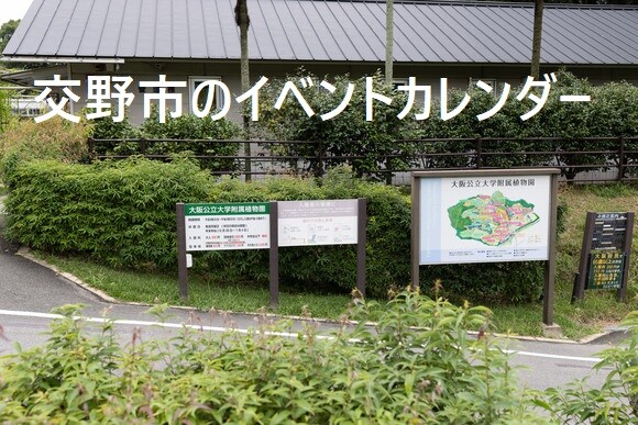 交野市のイベントカレンダー2025年2月