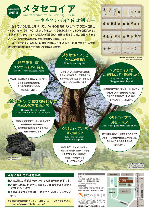 metasequoia2021 (1)-2