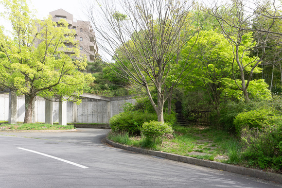 日高山の登山 202404171