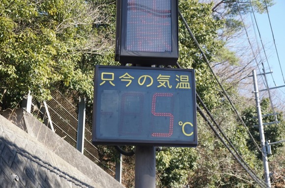 交野市成人式 20260112-1