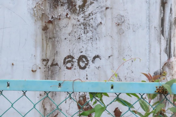 248279650_889074521735563_1008067687391383866_n