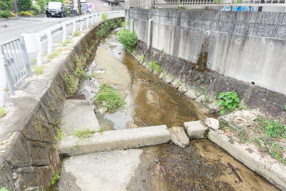 寺の水路 20240819-1