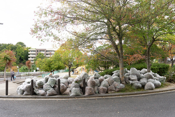 リニアパーク 紅葉 20241110-35