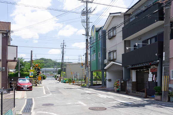 いっごそう 202406102