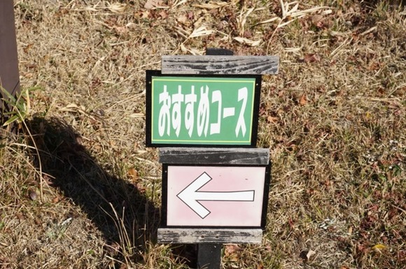 大阪公立大学附属植物園 20250118-2